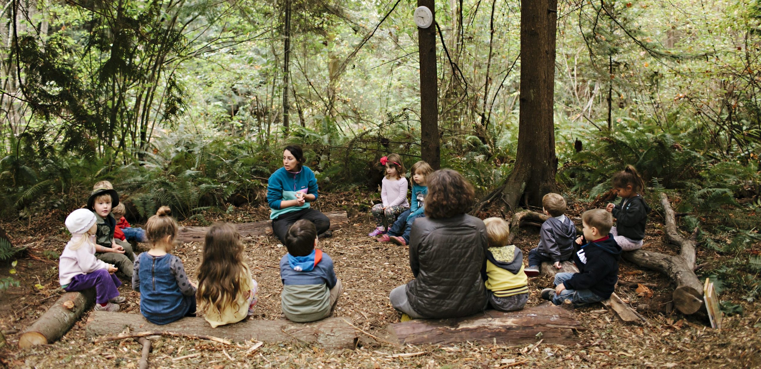U najsretnijoj zemlji na svijetu djeca u vrtiće idu u šumu: ”Odgoj treba biti ležeran i bez straha, pogledajte djecu, sretna su“