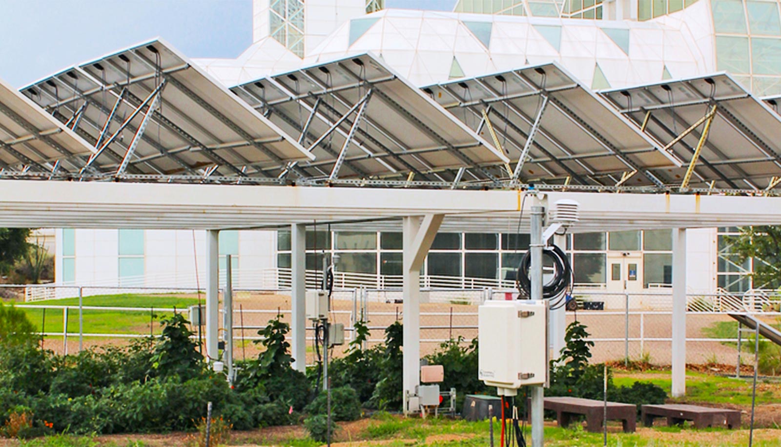 Ususret prvoj agrosolarnoj elektrani u Hrvatskoj