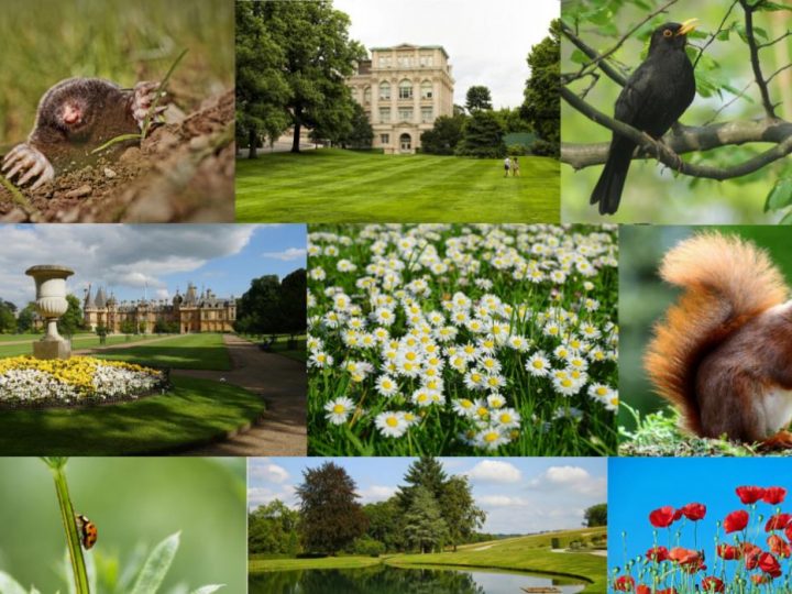 Strategija EU-a za bioraznolikost do 2030. godine