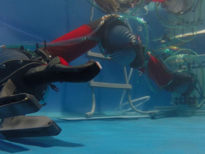 Razvijaju se jestivi i biorazgradivi roboti