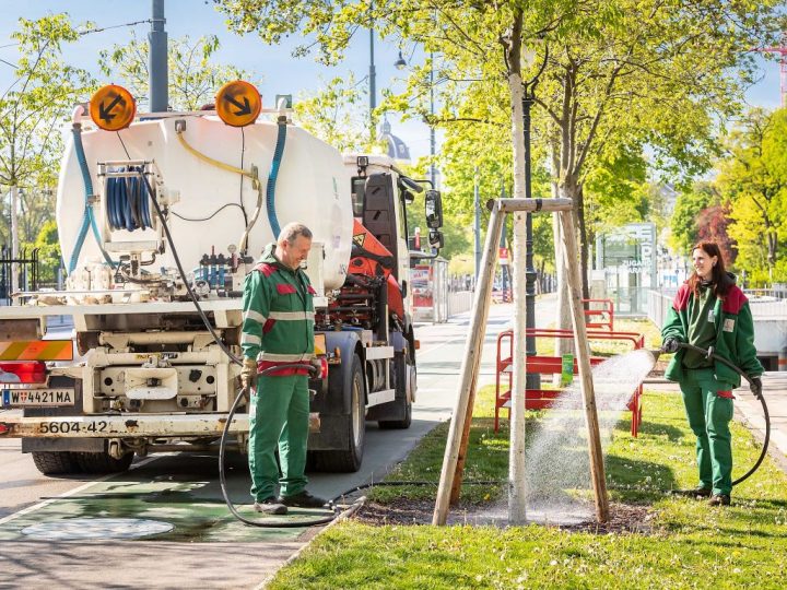 U Beču se svake godine posadi 4.500 novih stabala