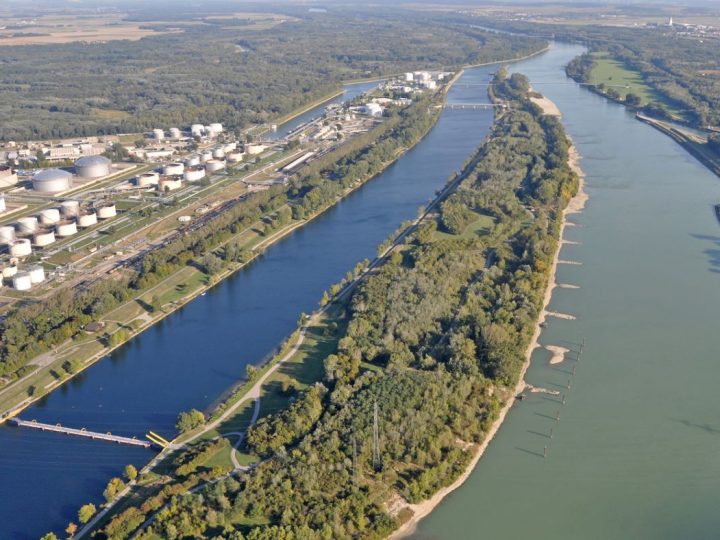 Dunavski otok u Beču i klimatske promjene