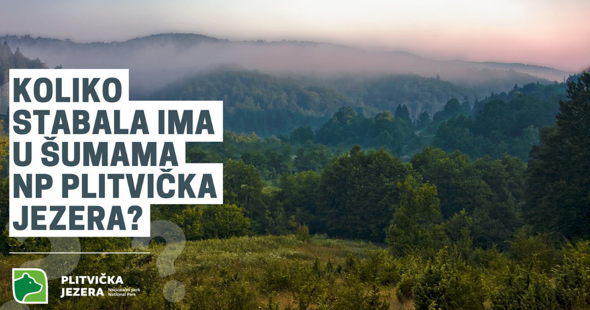 Obilježavanje Svjetskog dana šuma uz nagradni natječaj NP Plitvička jezera