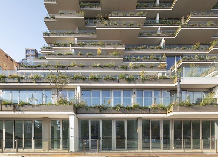 Amsterdam: Zelena arhitektura u gradu