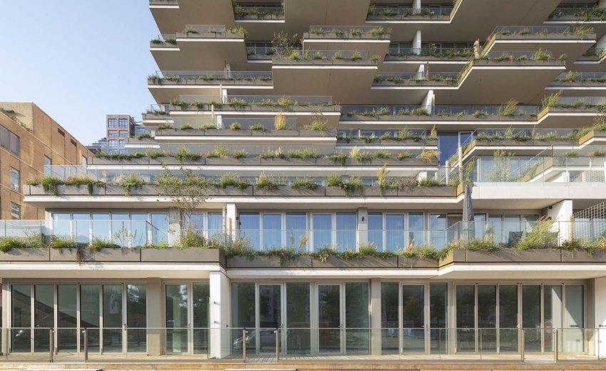 Amsterdam: Zelena arhitektura u gradu