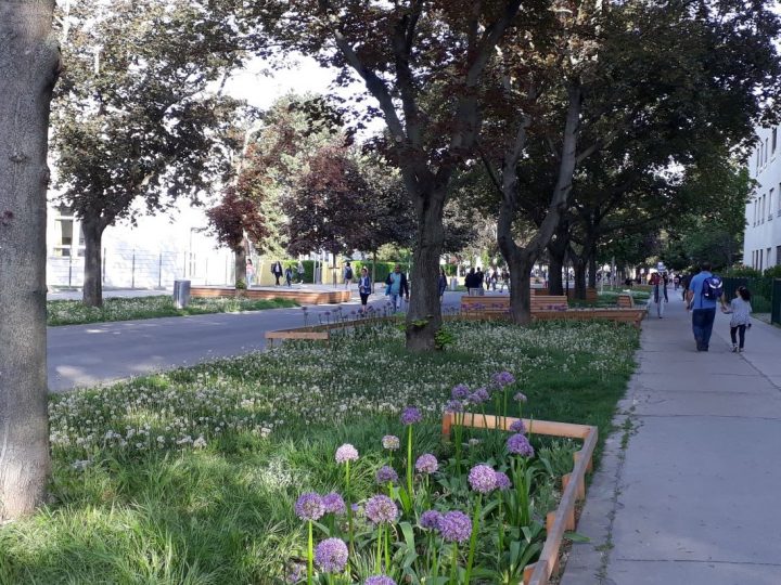 Građani sudjeluju u ozelenjivanju Beča