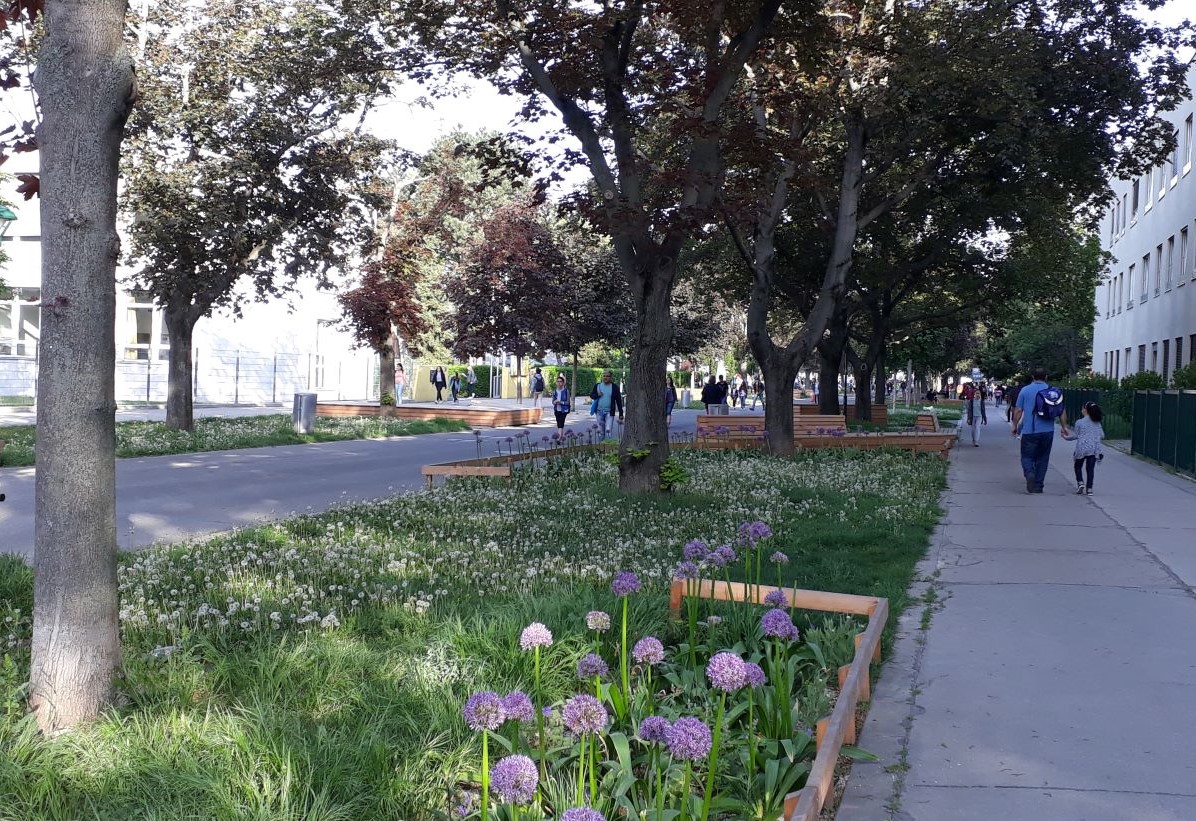 Građani sudjeluju u ozelenjivanju Beča
