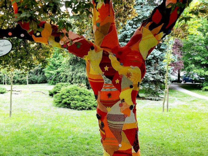 U Varaždinu osvanula urbano-prirodna instalacija Gorući grm