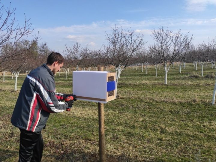 PAMETNA POLJOPRIVREDA: Mladi inženjer iz okolice Kutine iznajmljuje solitarne pčele i sjajno mu ide