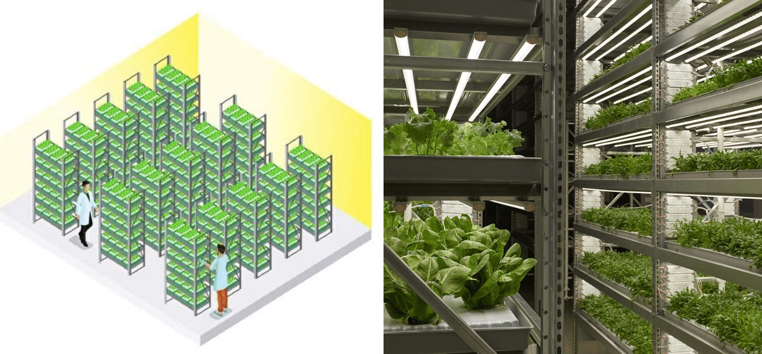 Što je to vertikalna poljoprivreda?