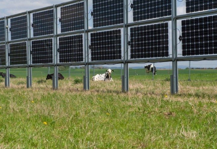 Solarni paneli se sve više koriste u modernoj poljoprivredi