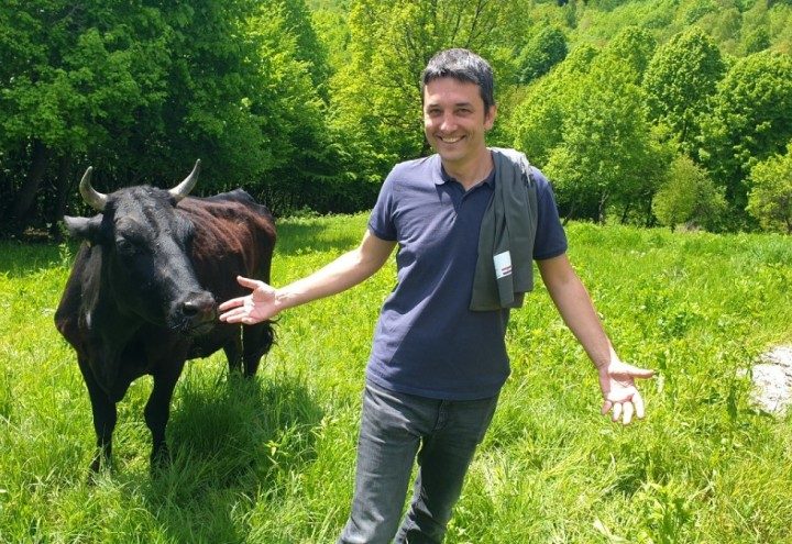 Uzgoj japanskih goveda početak je investicije koja u srcu Hrvatske stvara malu Švicarsku