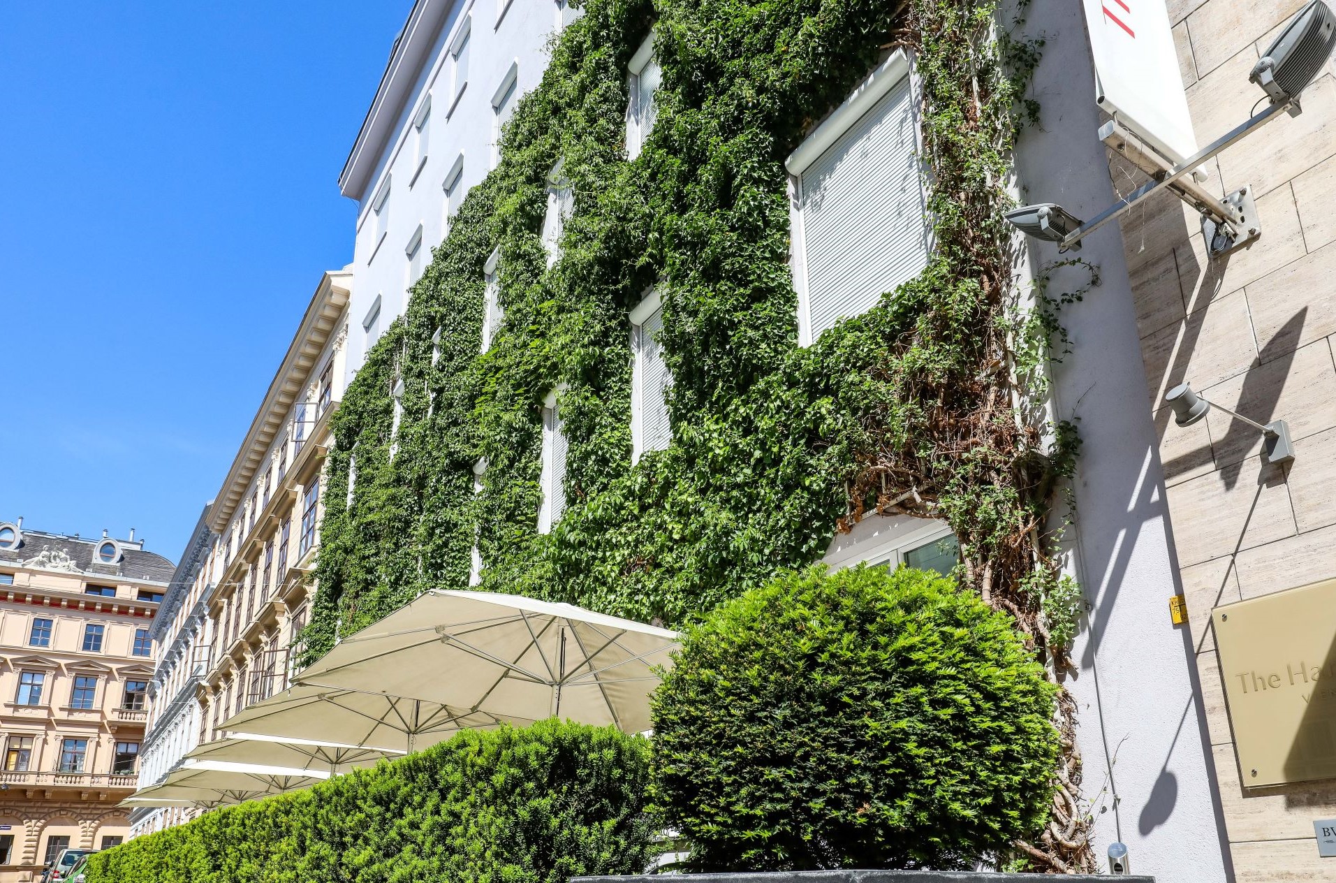 Grad Beč subvencionira ozelenjivanje fasada, krovova i unutarnjih dvorišta