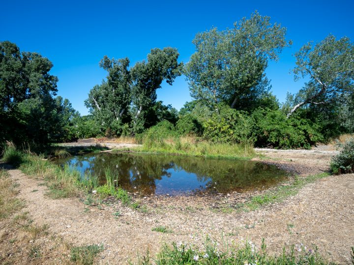 Beč dobiva novi park, najveći u posljednjih 40 godina