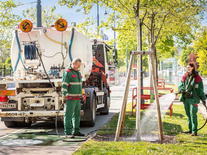 ZELENA MATEMATIKA: Sadnja jednog stabla u gradu zamjenjuje pet klima uređaja