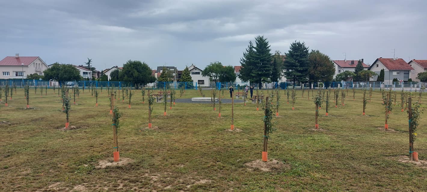 U Varaždinu će biti voća za sve