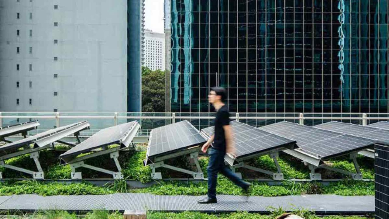 ZELENA STUDIJA: Krovovi zasađeni zelenilom povećavaju solarnu proizvodnju