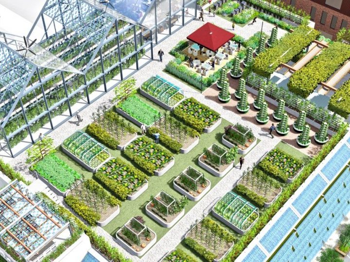 NASTALA JE “AGRITEKTURA”: Hoće li pomoći da urbane farme uskoro hrane naše gradove?