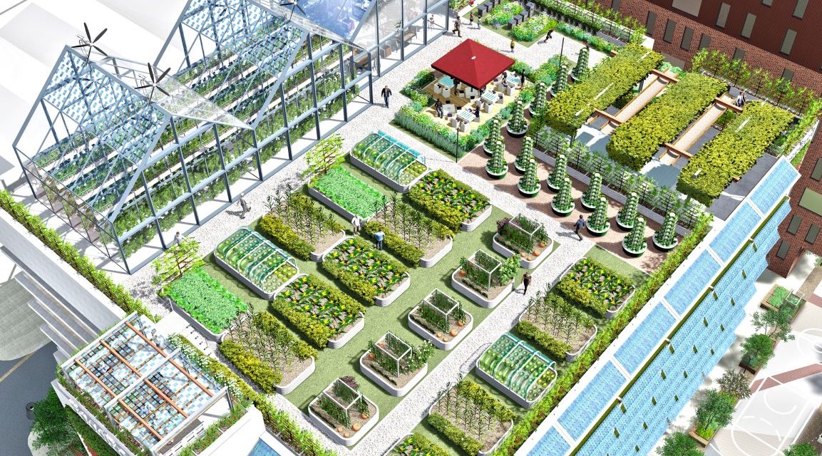 NASTALA JE “AGRITEKTURA”: Hoće li pomoći da urbane farme uskoro hrane naše gradove?