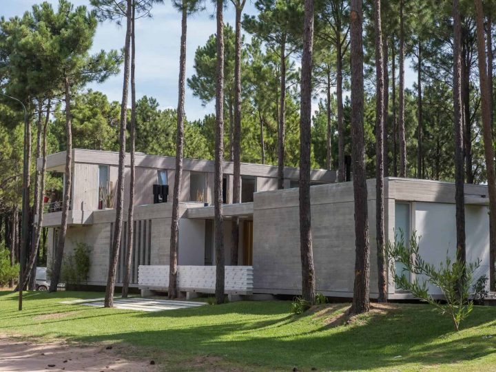 17 darovitih arhitekata koji su svojim zgradama “grlili” lokalna stabla umjesto da ih unište