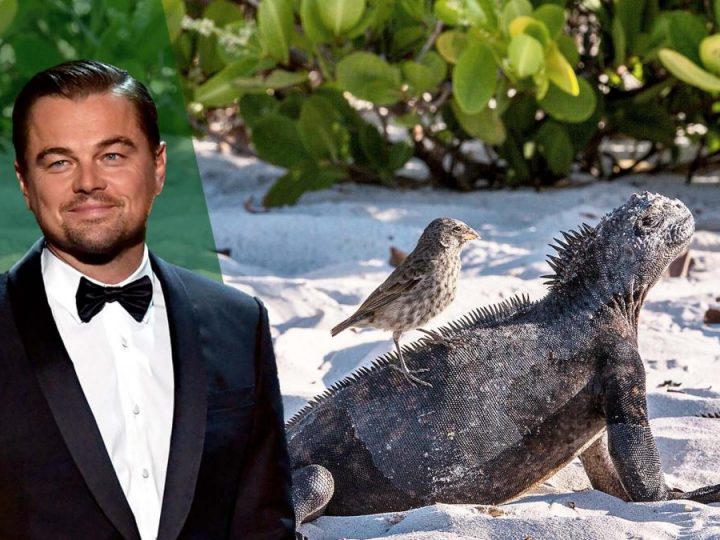 Leonardo DiCaprio donira 43 milijuna dolara za obnovu veličanstvenih Galapagoskih otoka