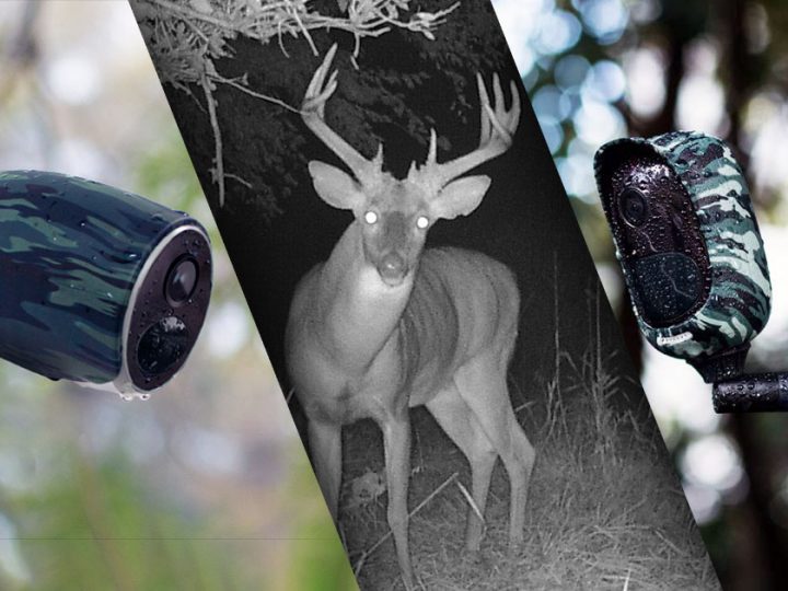 Lovačke kamere – napredna tehnologija snimanja divljači