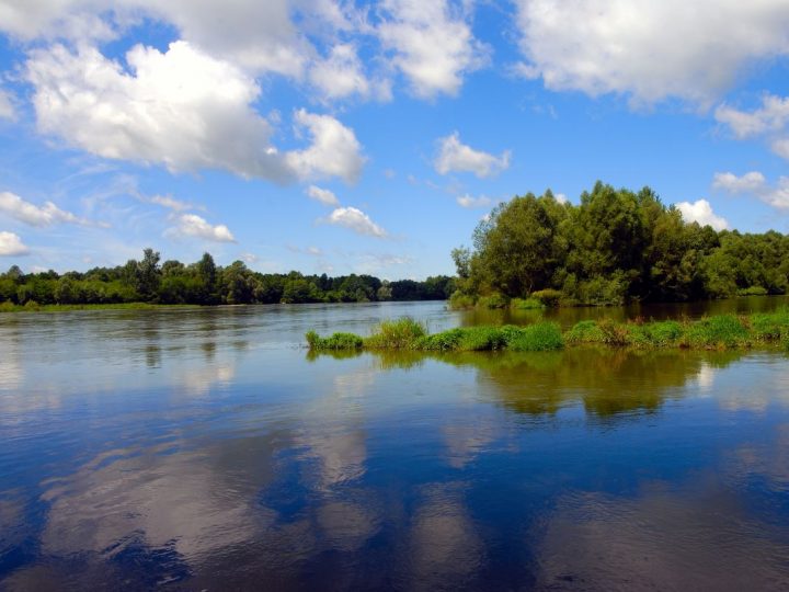Proglašen Prekogranični rezervat biosfere Mura – Drava – Dunav između pet država