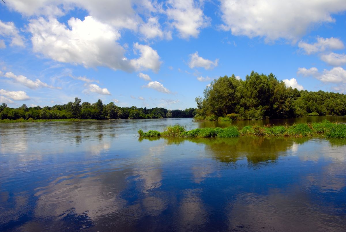 Proglašen Prekogranični rezervat biosfere Mura – Drava – Dunav između pet država