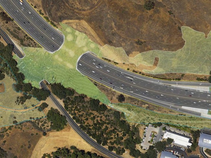 Kalifornija gradi najveći most za divlje životinje na svijetu