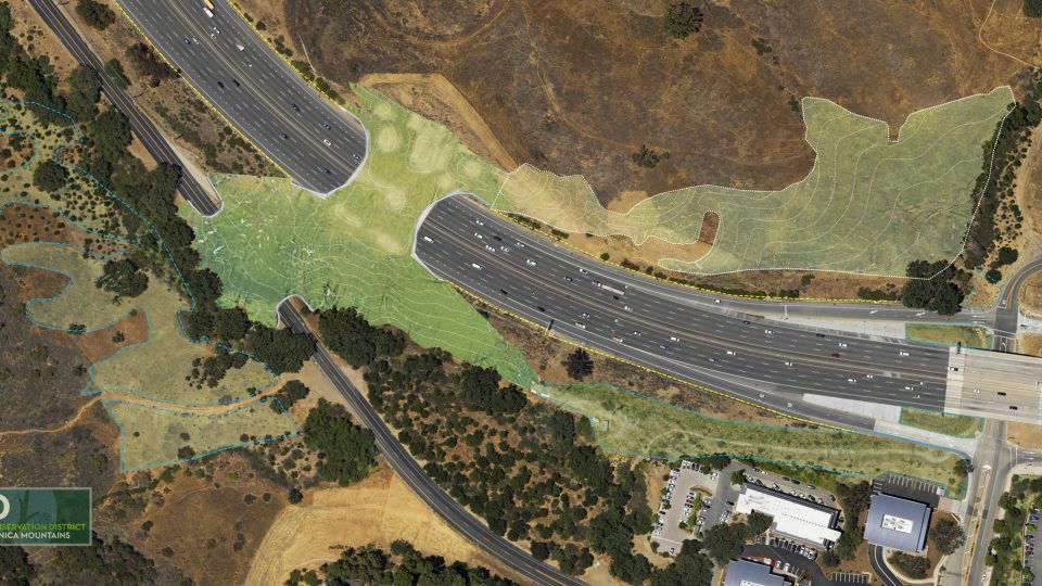 Kalifornija gradi najveći most za divlje životinje na svijetu