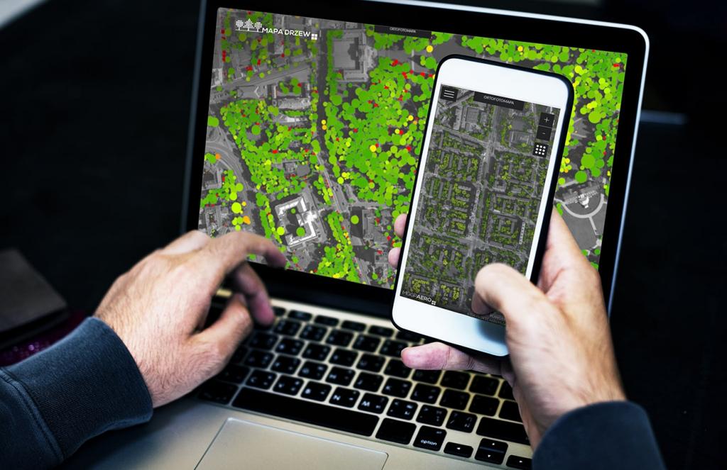 Poljska sada ima svoju digitalnu kartu krošnji drveća!