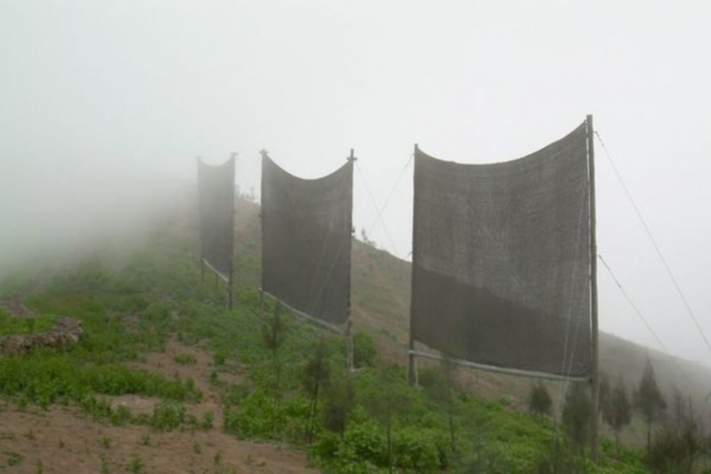 Skupljanje magle za dobivanje svježe vode i budućnost pošumljavanja