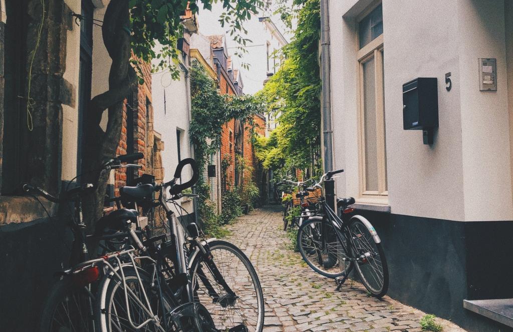 ‘Tjedan drveća’ u Bruxellesu pomoći će gradu da dobije 1000 novih stabala tijekom ove kampanje