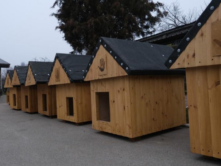 Zatvorenici iz Bialystoka u Poljskoj obnavljaju 40 kućica za lokalni azil za pse