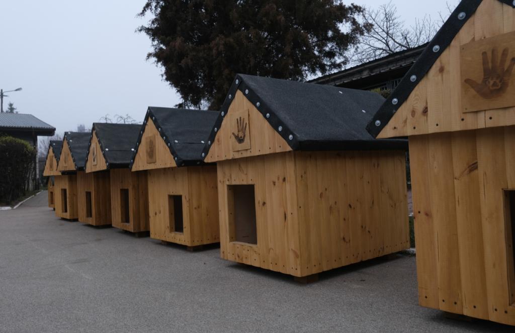 Zatvorenici iz Bialystoka u Poljskoj obnavljaju 40 kućica za lokalni azil za pse