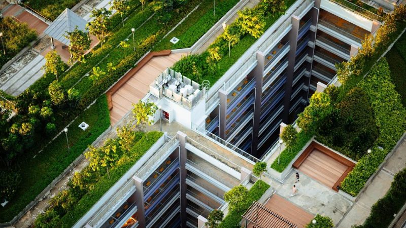 Zeleni krovovi ne čiste samo zrak: novo istraživanje otkriva da iz kišnice uklanjaju do 97,5% mikroplastike