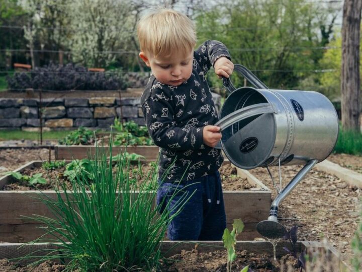 DJEČJA ŠUMA: Danski Aarhus je napravio gradsku šumu u kojoj djeca mogu saditi drveće