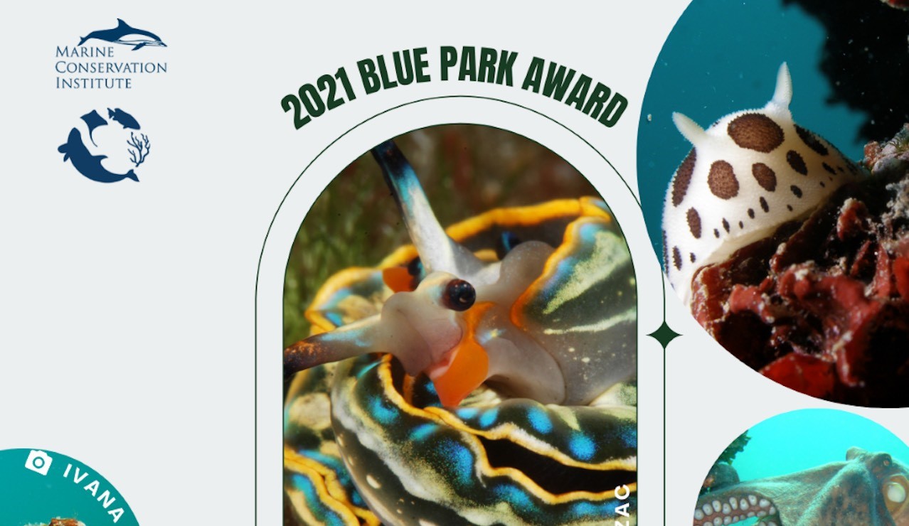 Nacionalnom parku Brijuni dodijeljena nagrada Globalne mreže za očuvanje mora – BLUE PARK