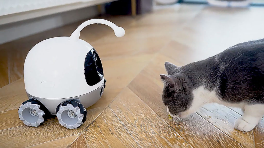 Robot Rocki ispaljuje poslastice i igra se s usamljenim kućnim ljubimcima