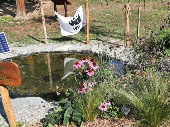 Škola u Torinu u školskom dvorištu gradi učionicu prirode