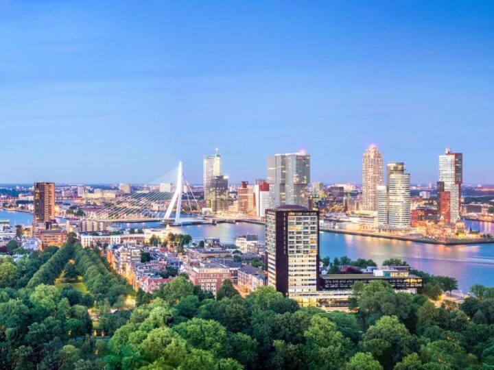 Rotterdam se oprašta od mrtvih gradskih stabala QR kodovima