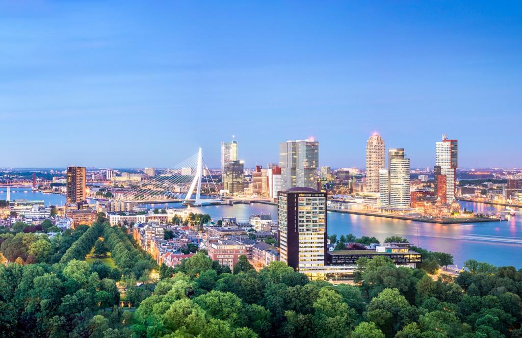 Rotterdam se oprašta od mrtvih gradskih stabala QR kodovima