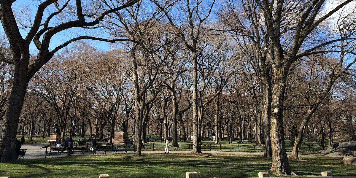 Klimatski laboratorij za projekte razvoja urbanih parkova diljem SAD-a