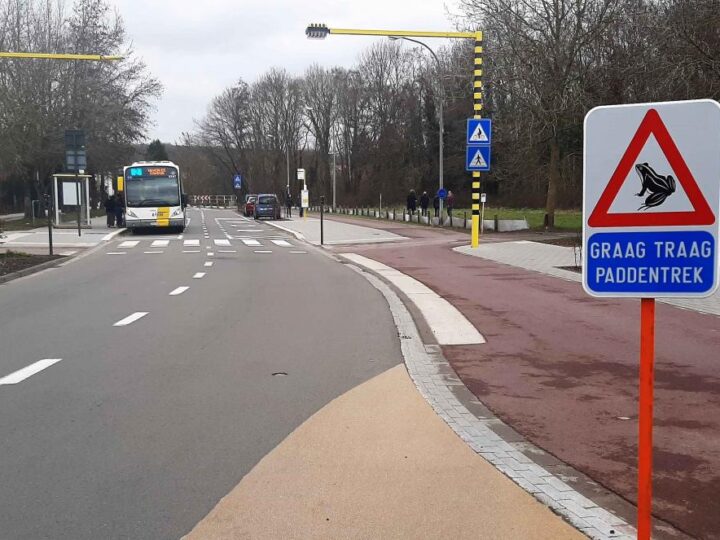 Leuven pokreće kampanju za spašavanje vodozemaca koji se bude nakon zimskog sna