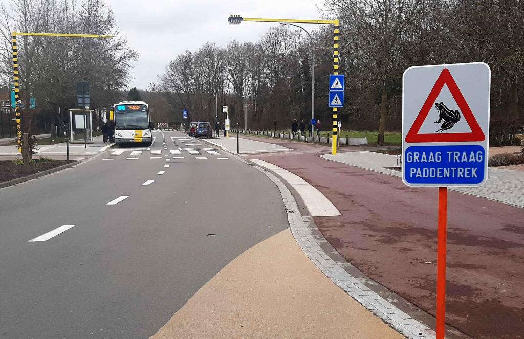 Leuven pokreće kampanju za spašavanje vodozemaca koji se bude nakon zimskog sna