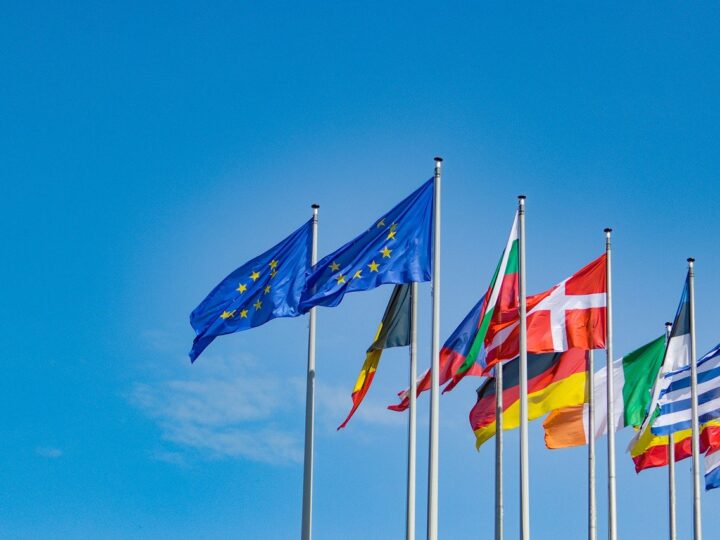 Poziv za uključenje u Europsku mrežu regionalnih i lokalnih savjetnika za EU