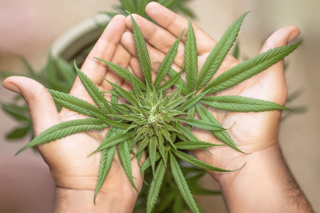 Grad Milano će lobirati za liberalizaciju lakih droga u Italiji