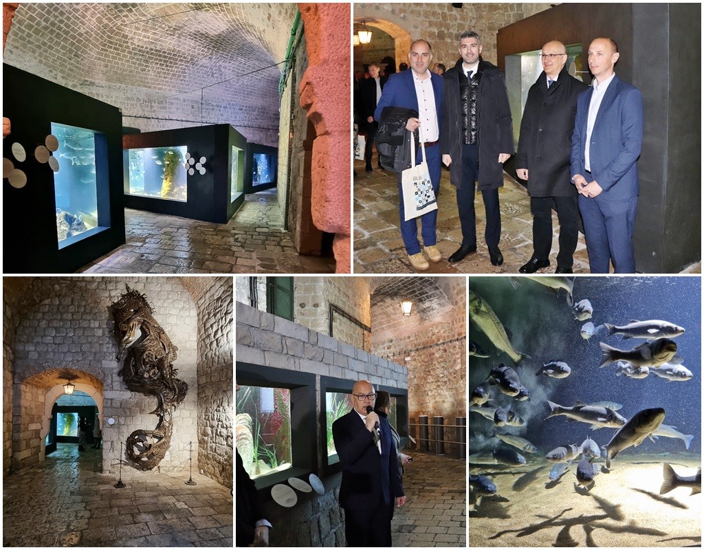 U Dubrovniku otvoren renovinarni Akvarij
