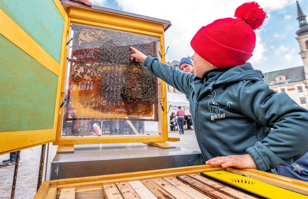 Djeca u Jihlavi obilježavaju Dan planete Zemlje