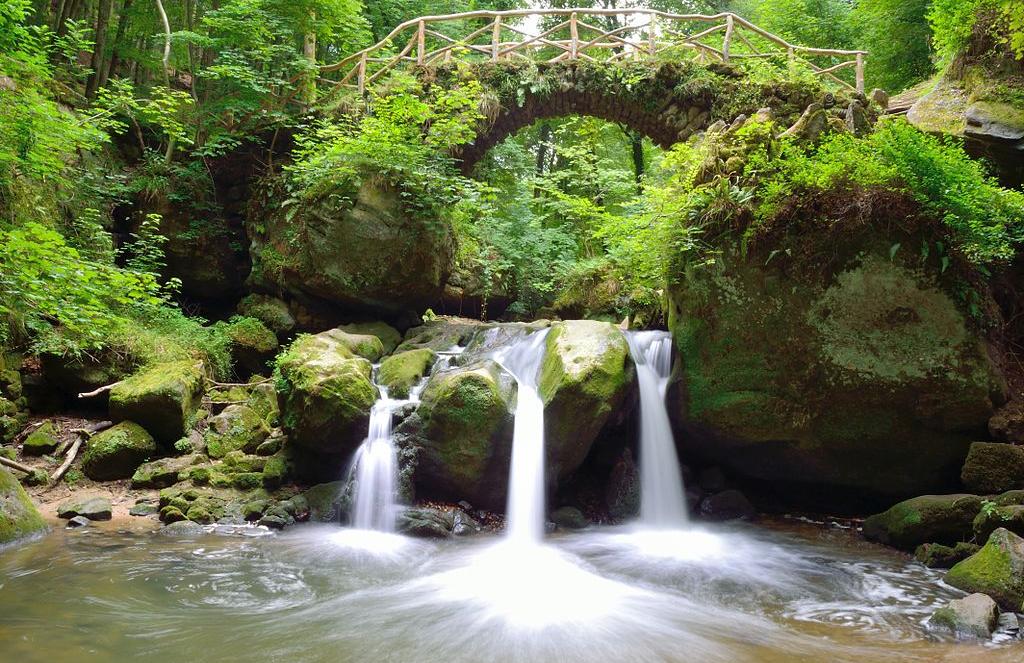 Ovo su najbolje i najgore zemlje prema kriteriju očuvanje prirode